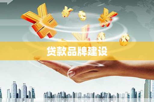 阳西贷款品牌建设