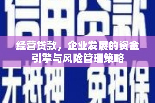屯门经营贷款，企业发展的资金引擎与风险管理策略