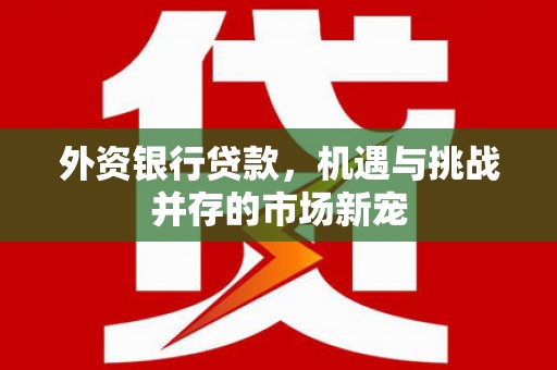 定兴外资银行贷款，机遇与挑战并存的市场新宠
