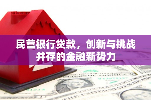 正阳民营银行贷款，创新与挑战并存的金融新势力