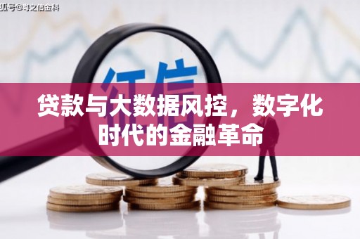 赫山贷款与大数据风控，数字化时代的金融革命