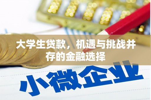云霄大学生贷款，机遇与挑战并存的金融选择