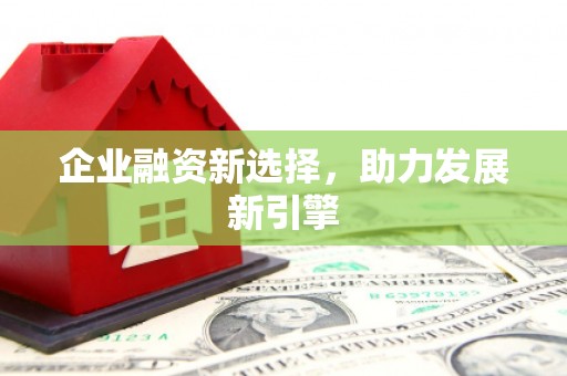 壮围企业融资新选择，助力发展新引擎