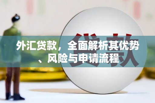 东山外汇贷款，全面解析其优势、风险与申请流程