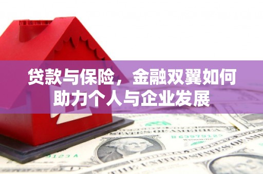 水上贷款与保险，金融双翼如何助力个人与企业发展