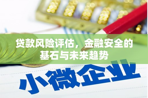 马边贷款风险评估，金融安全的基石与未来趋势