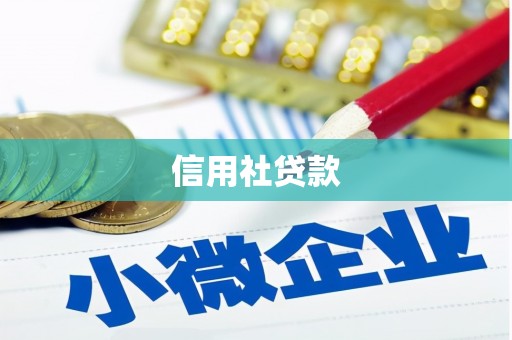 剑阁信用社贷款