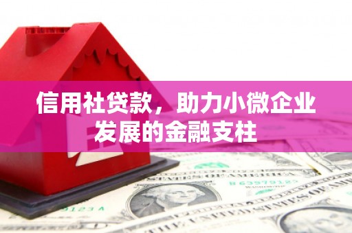 学甲信用社贷款，助力小微企业发展的金融支柱