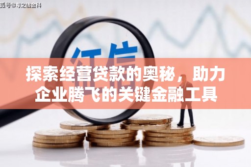 雁江探索经营贷款的奥秘，助力企业腾飞的关键金融工具