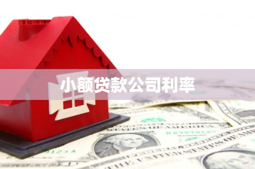康县小额贷款公司利率