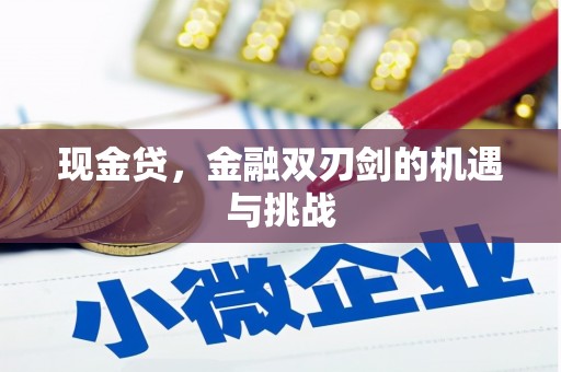 海拉尔现金贷，金融双刃剑的机遇与挑战