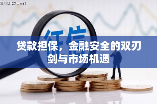 太和贷款担保，金融安全的双刃剑与市场机遇