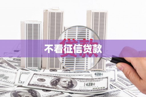 平舆不看征信贷款
