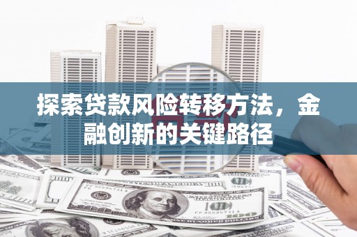 梧州探索贷款风险转移方法，金融创新的关键路径