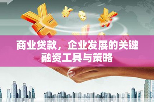 塔什库尔干塔吉克商业贷款，企业发展的关键融资工具与策略