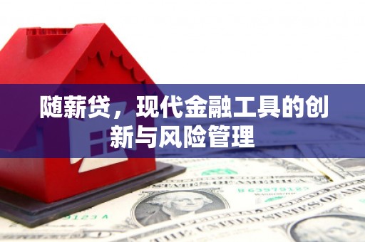 利辛随薪贷，现代金融工具的创新与风险管理