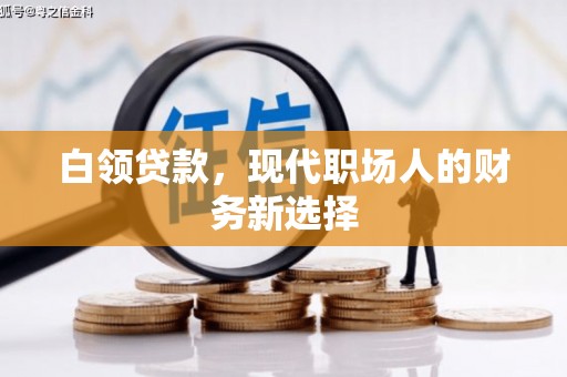 甘谷白领贷款，现代职场人的财务新选择