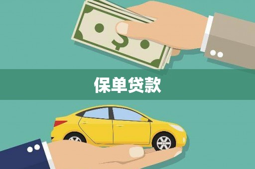 淮上保单贷款