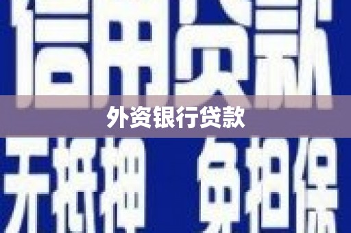 中宁外资银行贷款