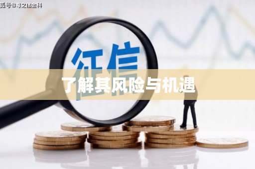 江东了解其风险与机遇