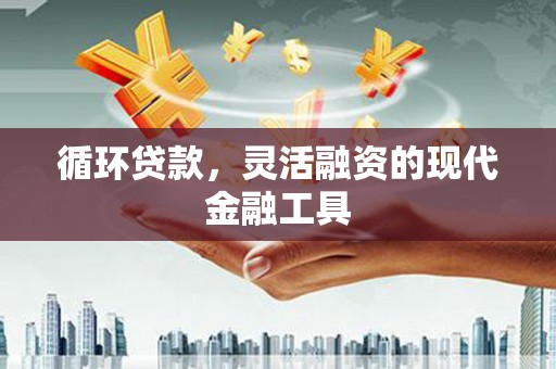 新巴尔虎左旗循环贷款，灵活融资的现代金融工具