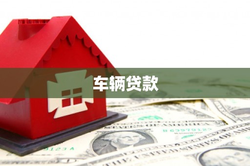 莎车车辆贷款