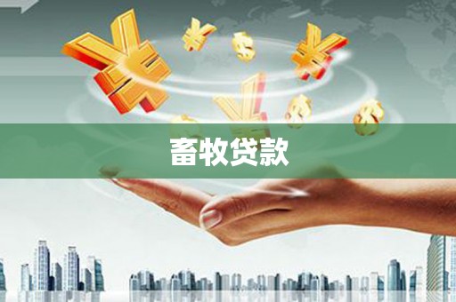 文安畜牧贷款