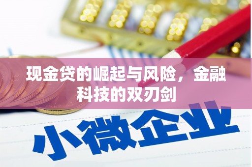 吴桥现金贷的崛起与风险，金融科技的双刃剑