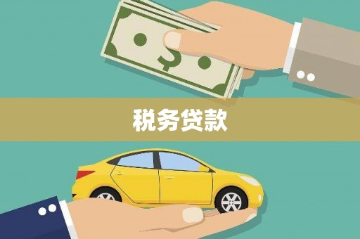 二林税务贷款