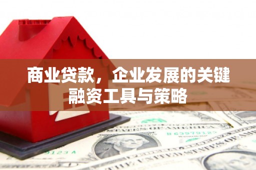 芦洲商业贷款，企业发展的关键融资工具与策略