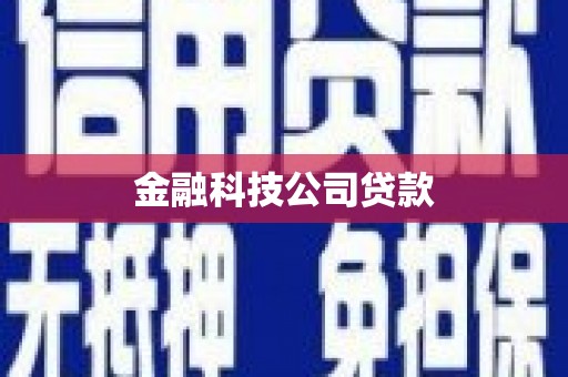 鸡冠金融科技公司贷款