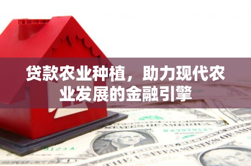 松溪贷款农业种植，助力现代农业发展的金融引擎