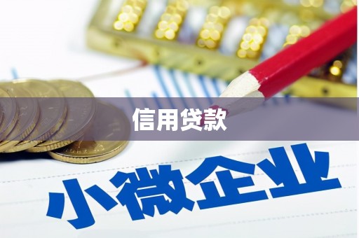 惠来信用贷款