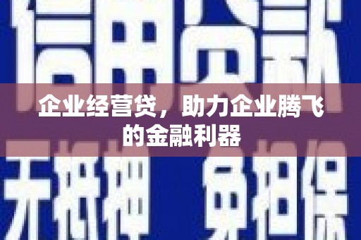 武平企业经营贷，助力企业腾飞的金融利器