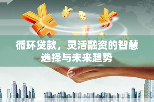 顺庆循环贷款，灵活融资的智慧选择与未来趋势