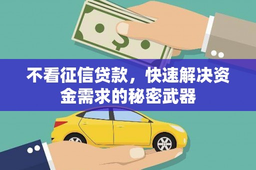 秀水不看征信贷款，快速解决资金需求的秘密武器