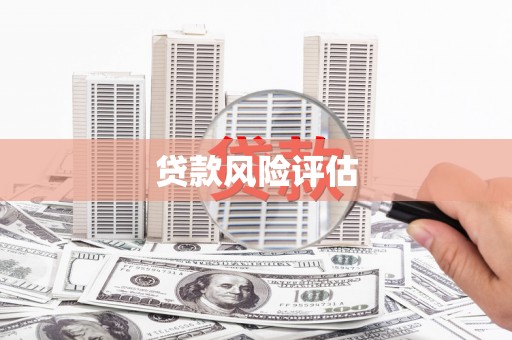 石屏贷款风险评估