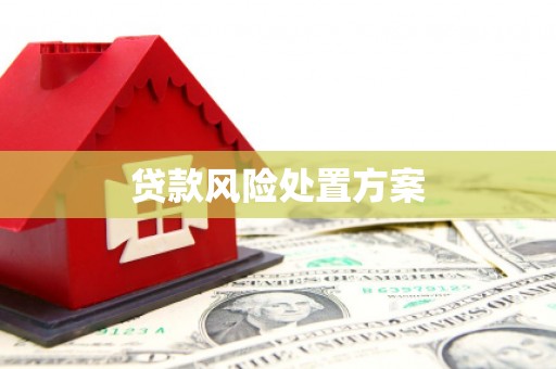 余江贷款风险处置方案