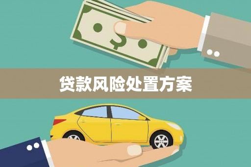 广河贷款风险处置方案