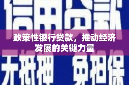 沾益政策性银行贷款，推动经济发展的关键力量