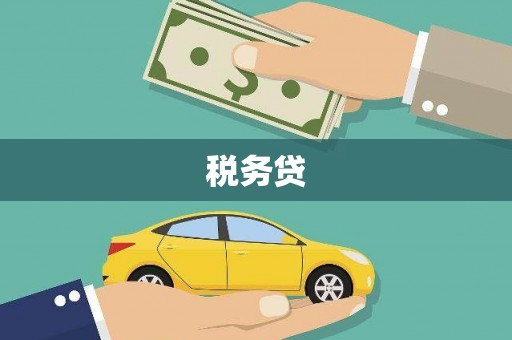 平乡税务贷