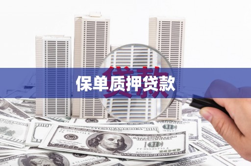 大渡口保单质押贷款