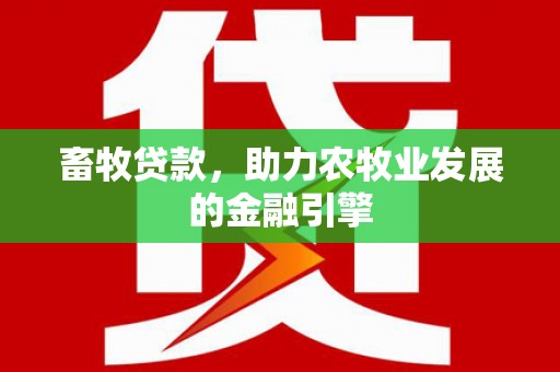 武侯畜牧贷款，助力农牧业发展的金融引擎