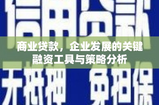 枋寮商业贷款，企业发展的关键融资工具与策略分析