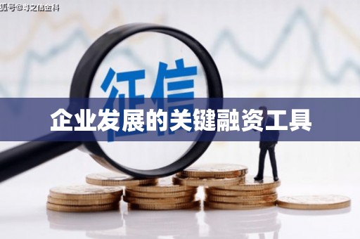 电白企业发展的关键融资工具