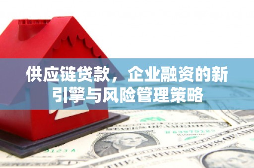 广平供应链贷款，企业融资的新引擎与风险管理策略