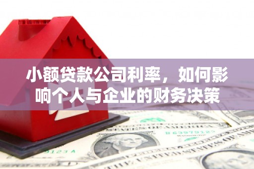 舞阳小额贷款公司利率，如何影响个人与企业的财务决策