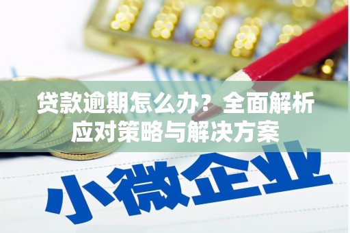 龙岗贷款逾期怎么办？全面解析应对策略与解决方案