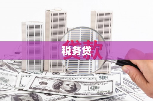 新营税务贷