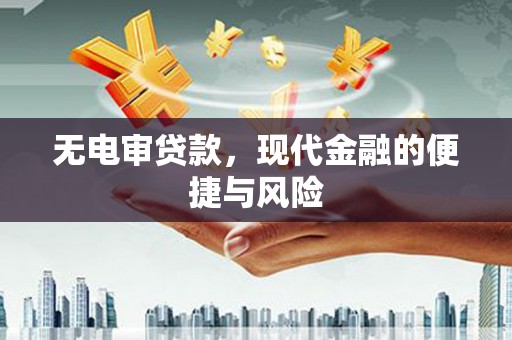 浑南无电审贷款，现代金融的便捷与风险